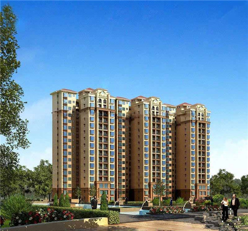 鲨鱼杰克小海鲜焖面