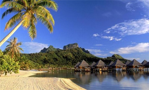 炙口福煲仔饭有多少家分店