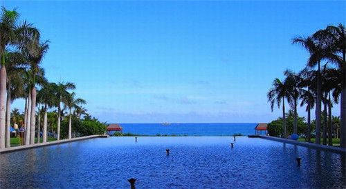 姜蒜可以炒虾吃吗有毒吗（炒虾能放姜和蒜吗）