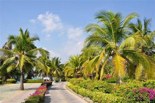 东湖是十大旅游景点吗（东湖景区哪个景区最好）